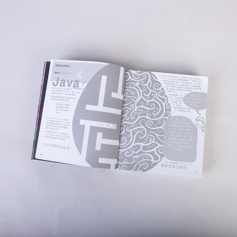 薛小小学Java(图灵出品)