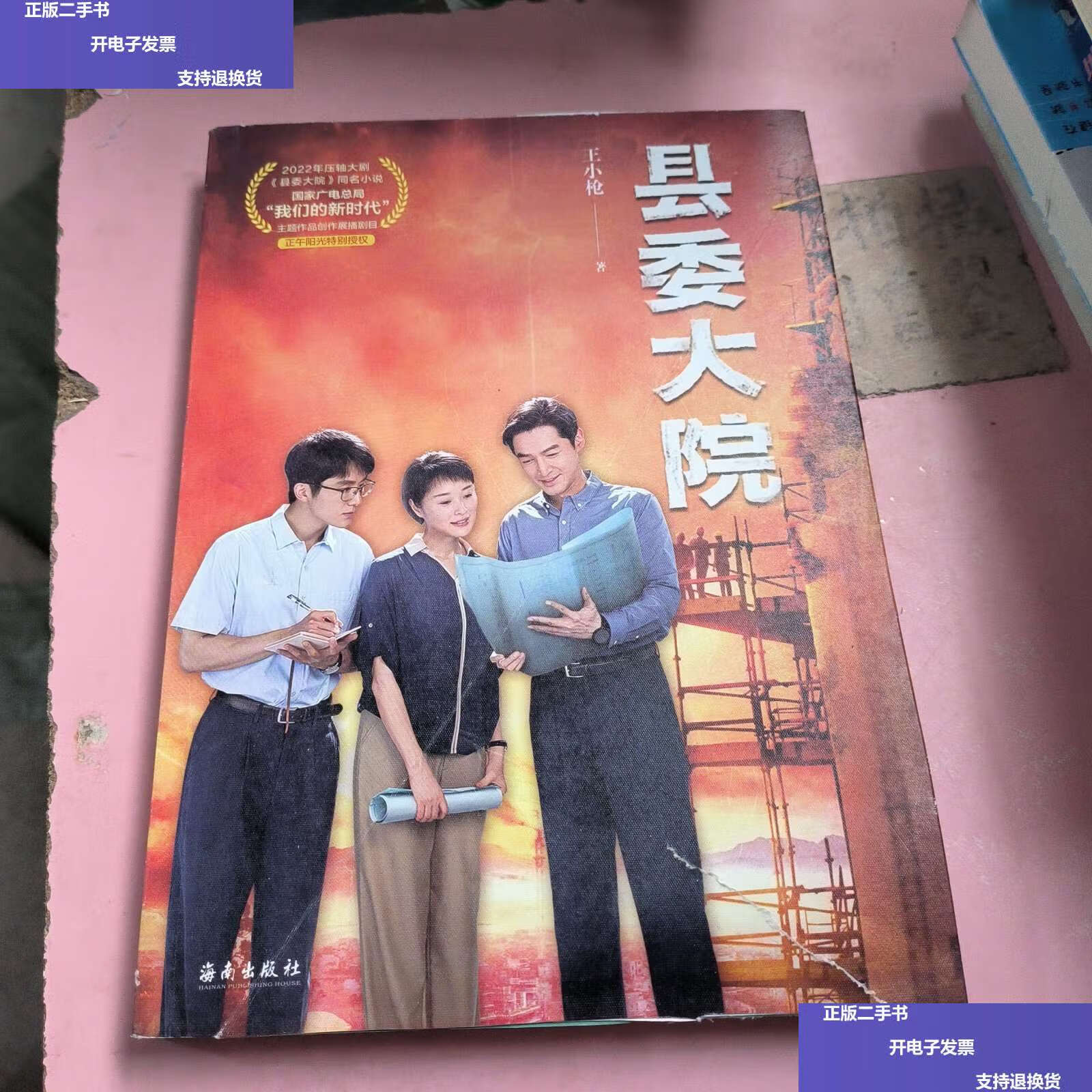 【二手9成新】县委大院(孔笙导演,胡歌,吴越,张新成,黄磊,刘涛主演