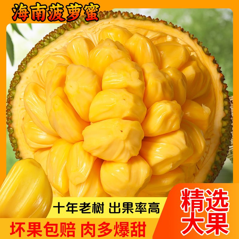 南业果（NANYEGUO）海南三亚菠萝蜜现摘新鲜水果当季黄肉干苞一整个 20-25斤怎么样,好用不?