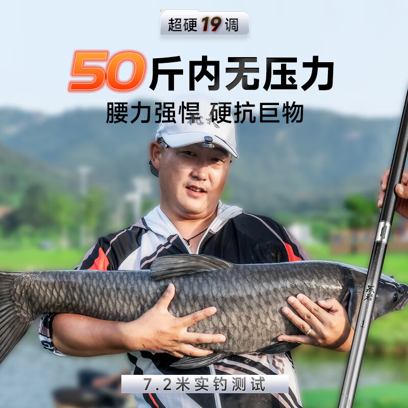 伽玛精工19调手竿手杆综合大物鲢鳙鱼钓竿碳素台钓竿小锥度巨物钓鱼竿 8.1m 【双吊牌-T1100+M400X碳布】