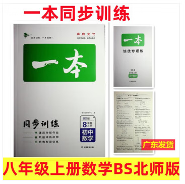 包邮2023秋一本同步训练八年级上册 数学BS北师大版 初中生中考数学辅导练习题 初二8年级数学上册