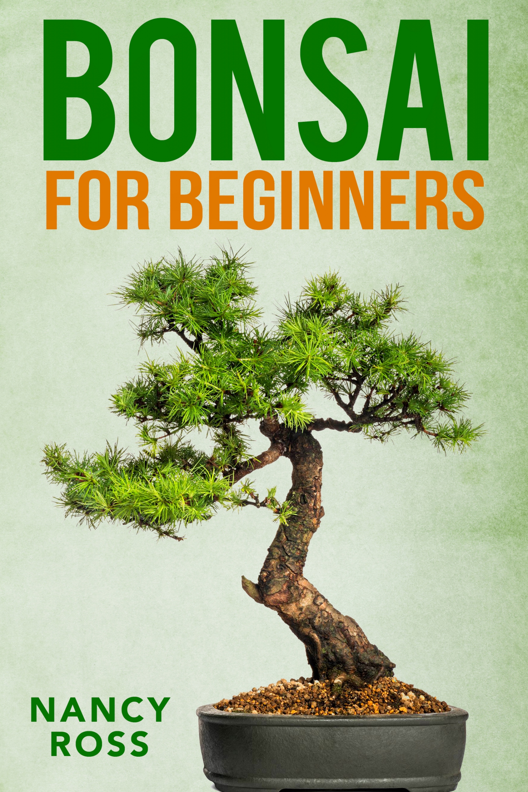 bonsai for beginners