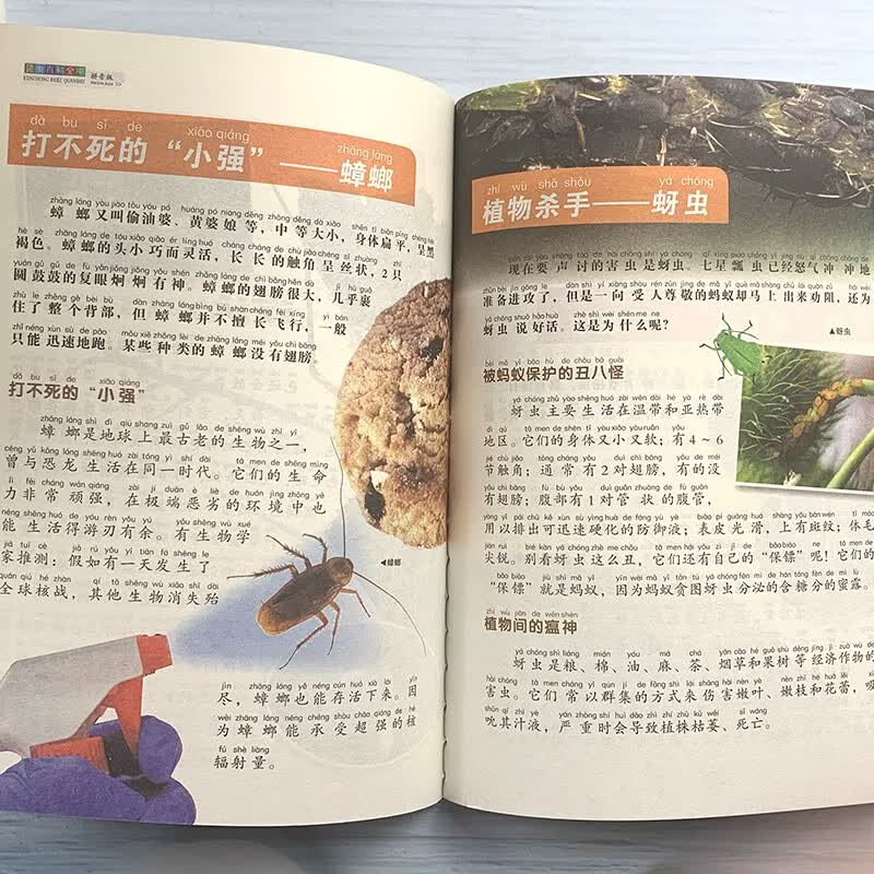 昆虫百科全书（拼音版经典典藏美绘本）探索昆虫世界生活环境学生课外阅读科普百科书系详情图
