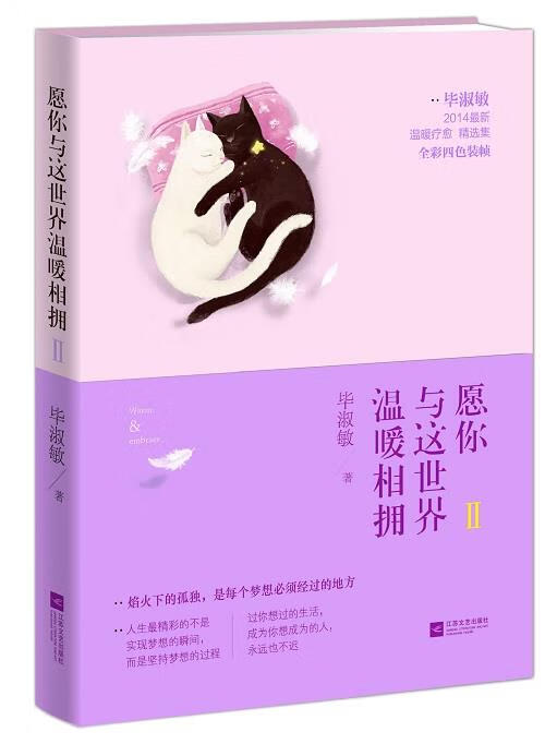愿你与这世界温暖相拥2 毕淑敏 著【书】