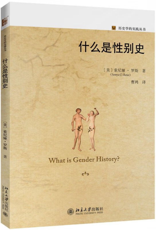 什么是性别史/历史学的实践丛书