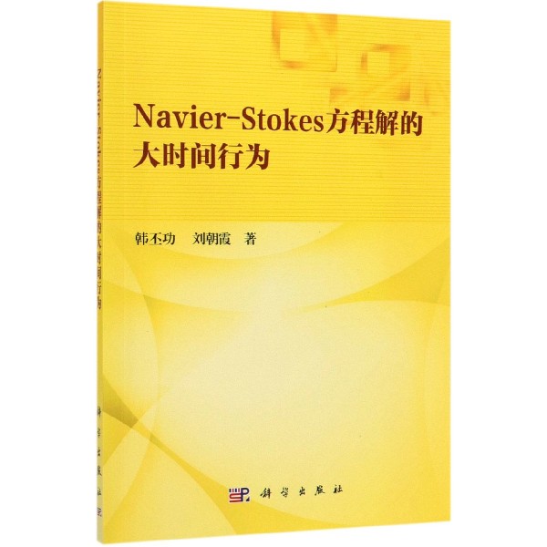 Navier-Stokes方程解的大时间行为