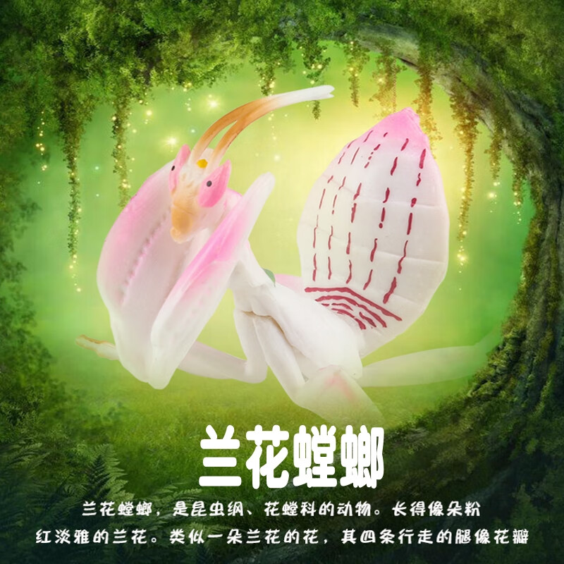 林畅模玩儿童昆虫玩具兰花螳螂模型枯叶刀螂叶子虫蝉知了甲虫认知仿真