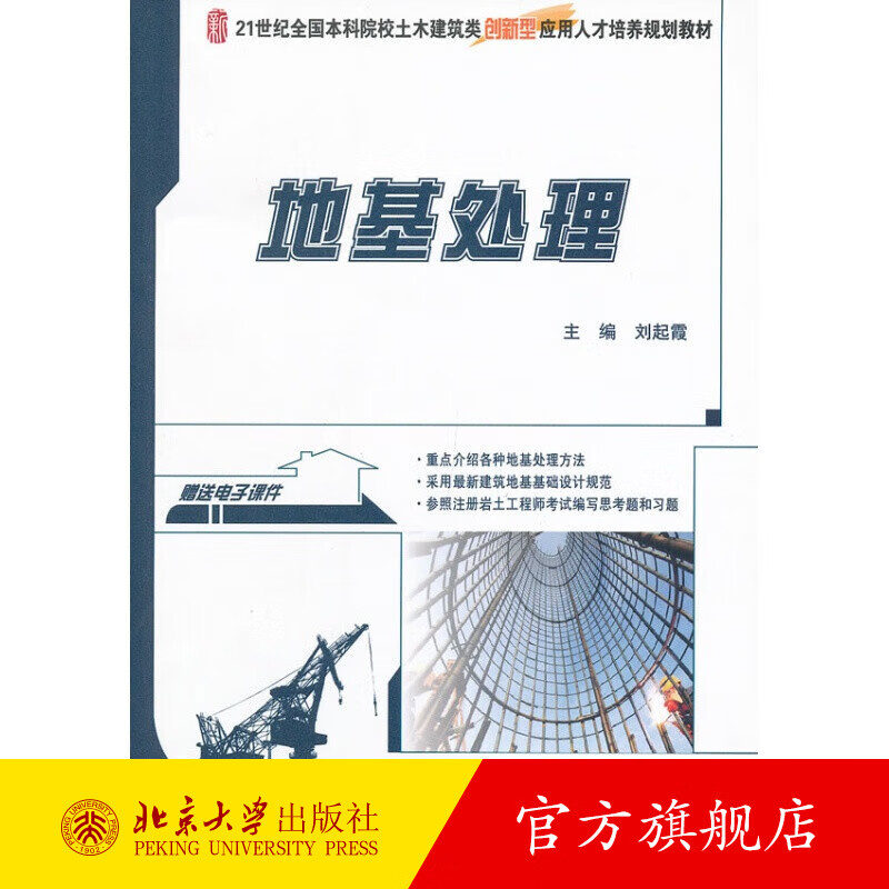 地基处理 北京大学旗舰店正版
