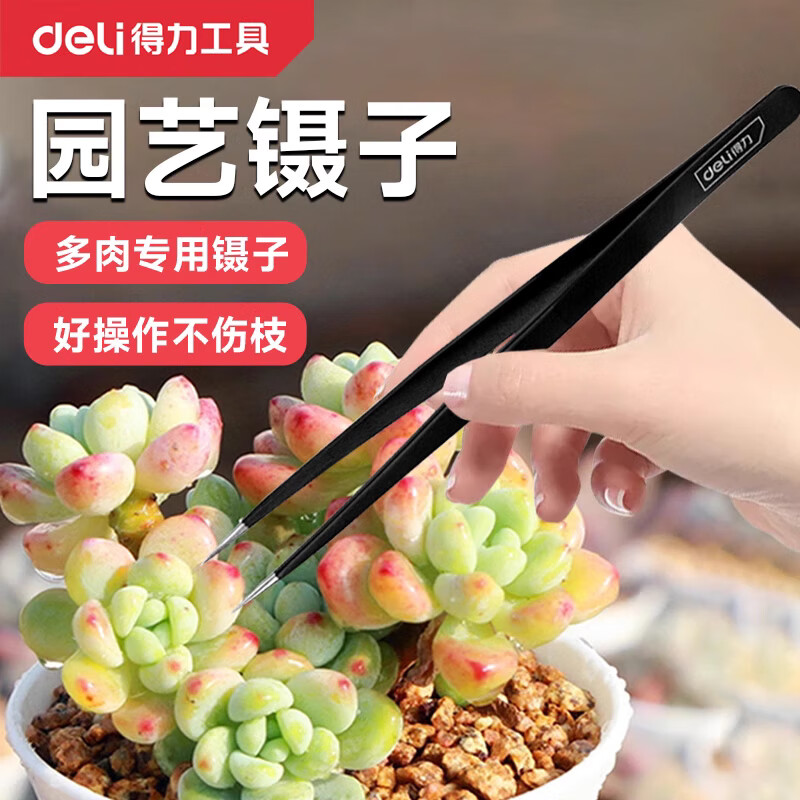 得力（deli）多肉植物种植工具园艺铁镊子加厚型不锈钢镊子直圆弯头小夹子盆栽 DL396101/镊子尖头