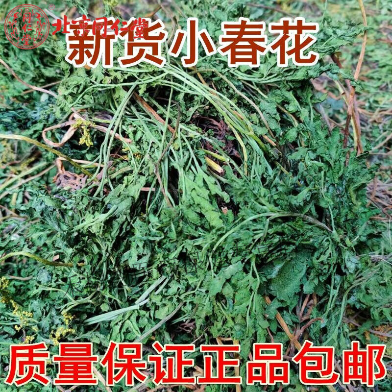 北京同仁堂  中药材野生小春花一朵云破天云阴地蕨独立金鸡散血叶500