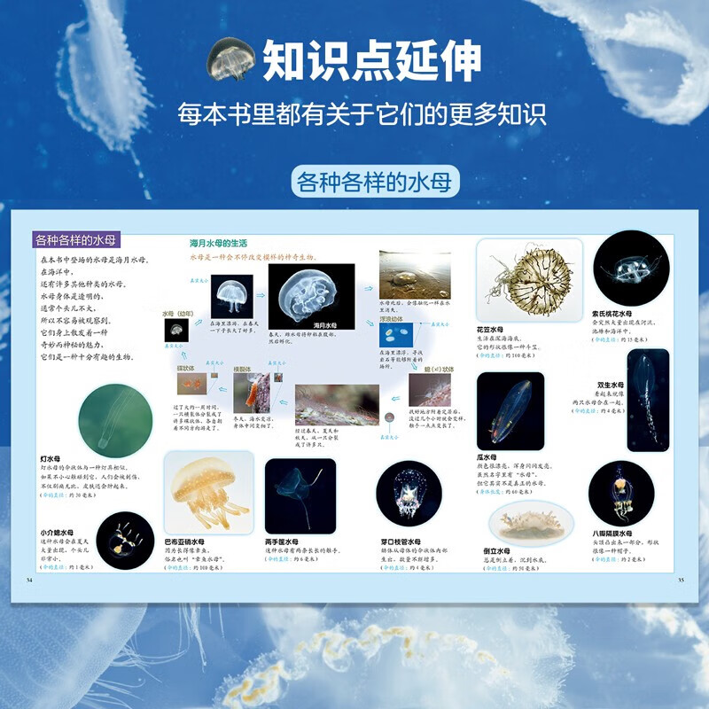 【无穷小亮推荐】生命的故事 赠音频 高清实拍昆虫动物科普百科全书12345辑+番外篇 赠音频 纸上纪录片自然科普儿童绘本 幼儿园动物世界3-6-8-10岁 人民日报推荐官方正版省钱卡图书卡 生命的故事