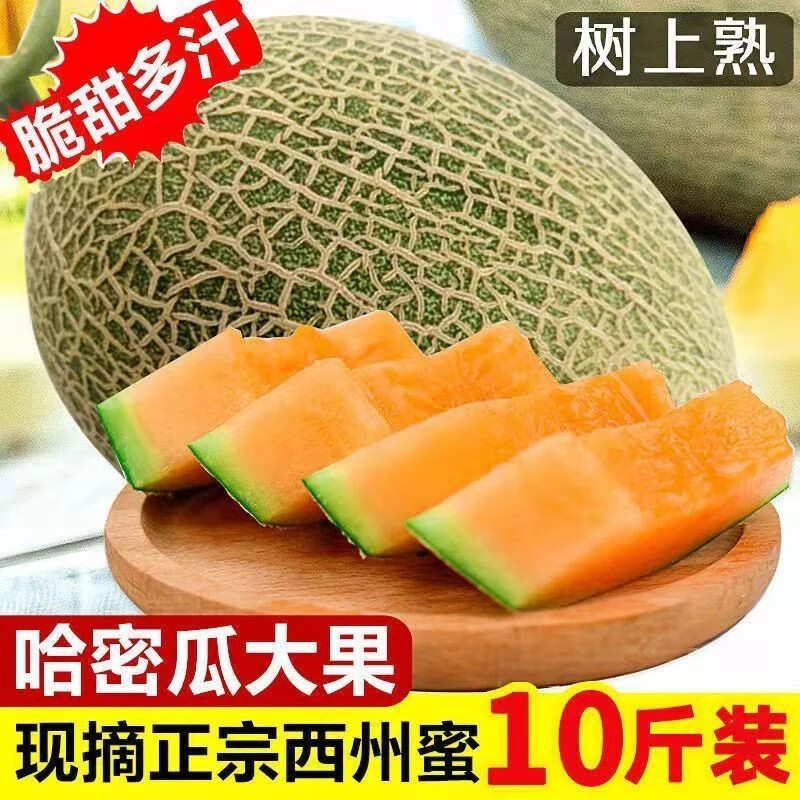 哈密瓜9斤新疆当季新鲜水果一整箱现货现摘蜜瓜脆甜香瓜西州网纹r