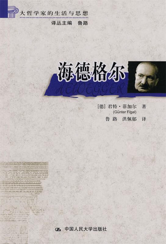 海德格尔 君特·菲加尔(gunter figal), 鲁路, 洪佩郁【正版】