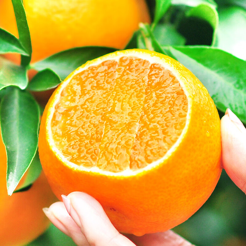 张小壮广西武鸣沃柑 新鲜水果应当季柑桔橘子整箱 精选4.5-5斤（55-60mm）