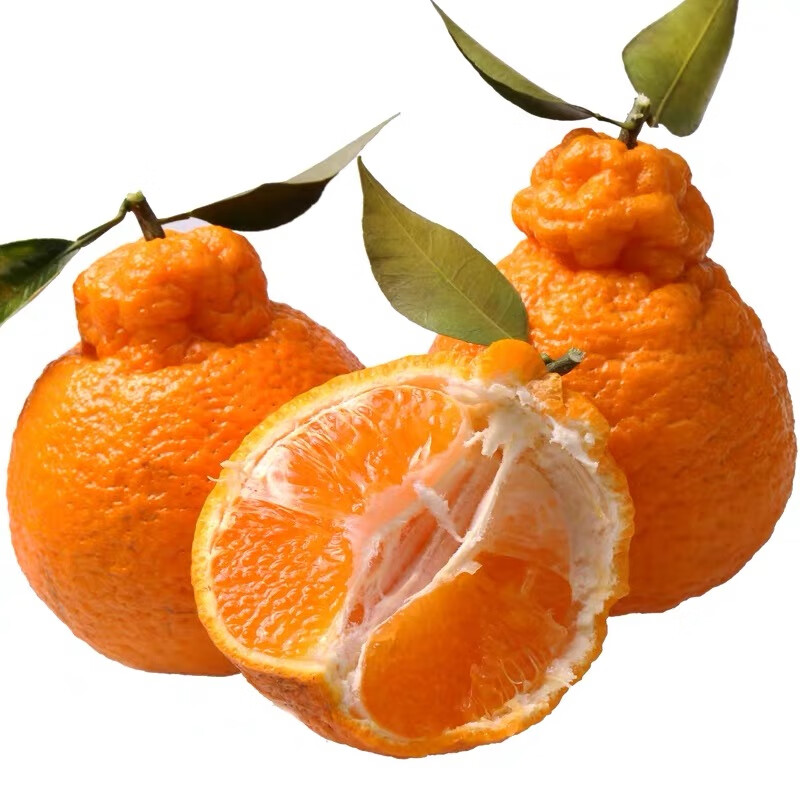 电商平台桔橘历史价格查询|桔橘价格比较