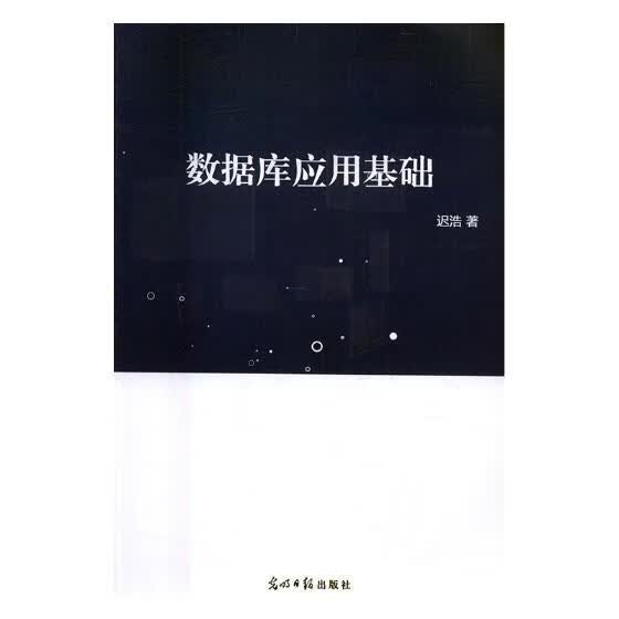 数据库应用基础 小说 书籍