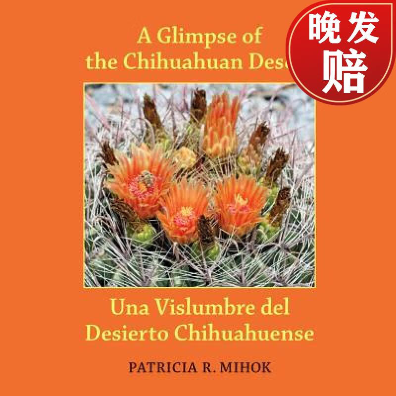 【4周达】a glimpse of the chihuahuan desert: una vislumbre del