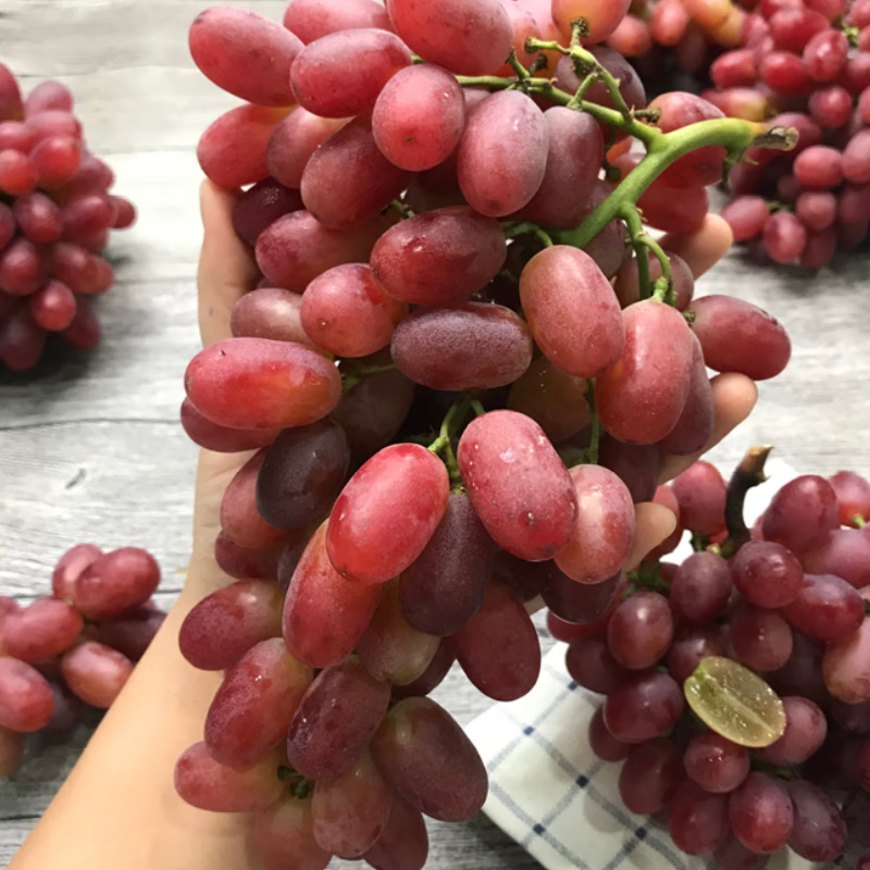 克瑞森无籽红提3斤新鲜脆甜多汁提子当季时令水果现货 3斤