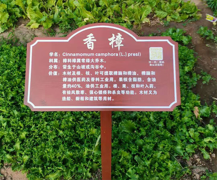 定制防腐木实木中草药植物简介牌介绍牌插地牌名称牌树名牌科普牌