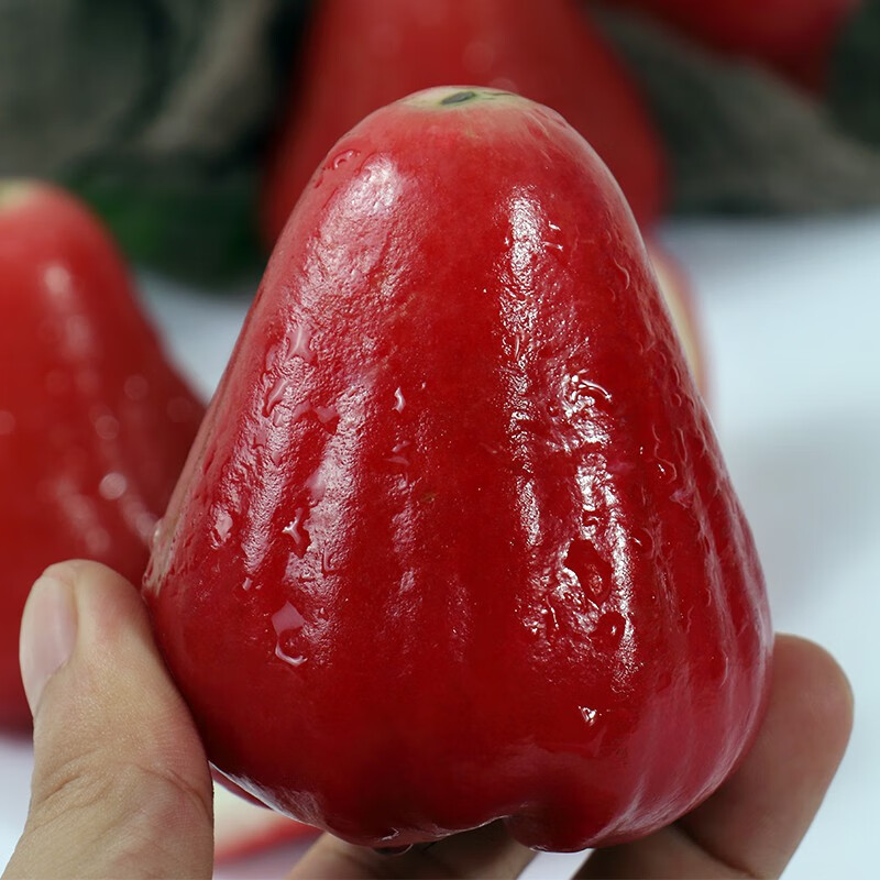 海南莲雾红宝石当季新鲜热带水果黑珍珠莲雾果整箱三亚特产雾莲果 1斤