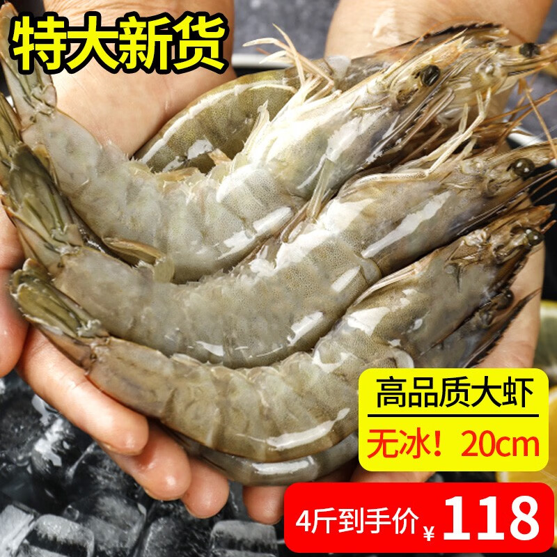 虾类全网历史价格对比工具|虾类价格比较