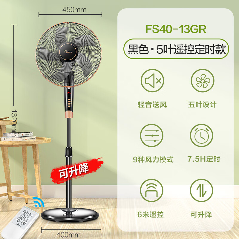 风扇遥控落地扇家用学生宿舍转页静音定时摇头立式台式电扇 fs40-13gr