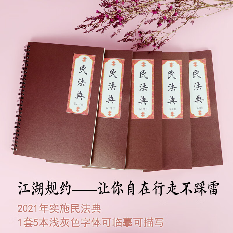 [心无羡江湖规矩]新版民法典党章字帖楷书行书钢笔成年人描红字帖 第1