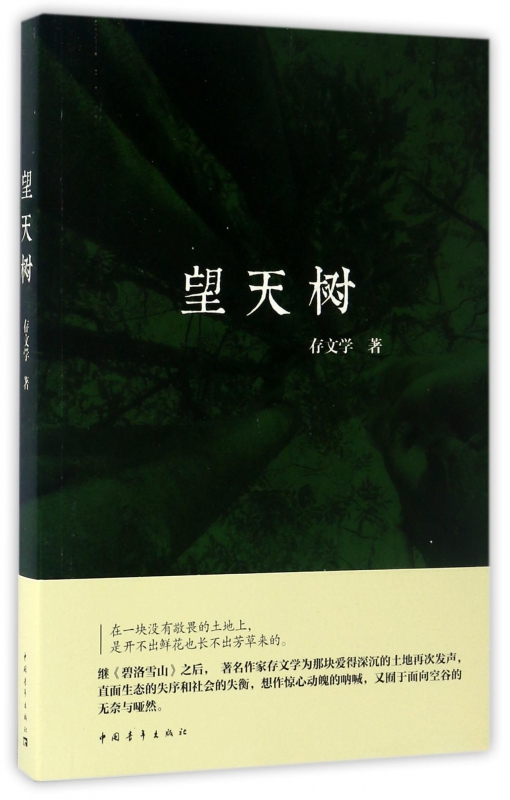望天树