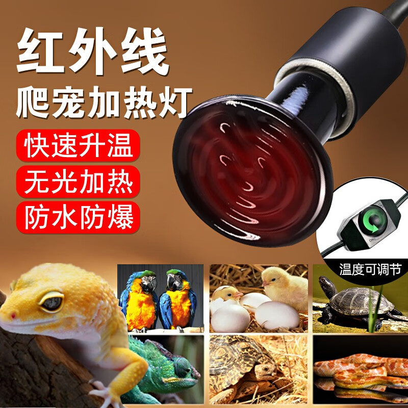 怎么看京东爬宠用品商品的历史价格|爬宠用品价格比较