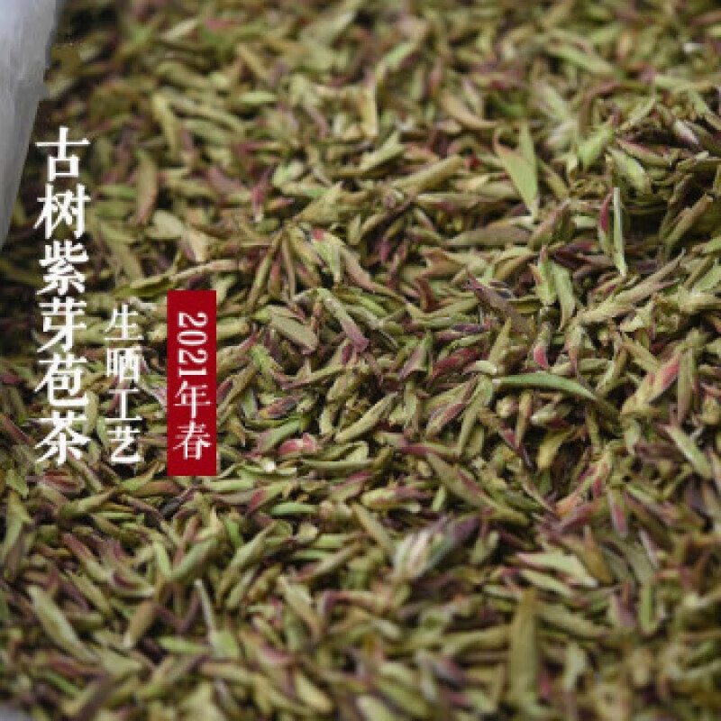 正廷普洱 2023年春茶云南生茶古树紫芽苞茶古树芽孢茶 古树紫芽苞生茶