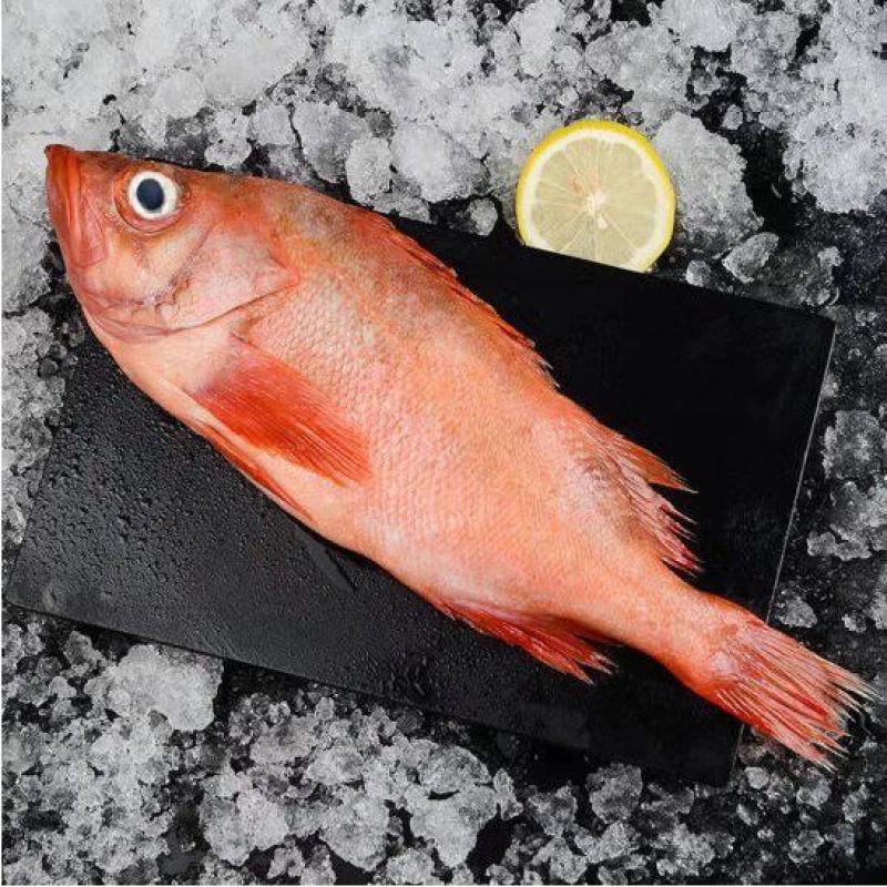 红石斑鱼整条速冻大眼鱼富贵鱼深海鱼肉多刺少海鲜水产 3斤装