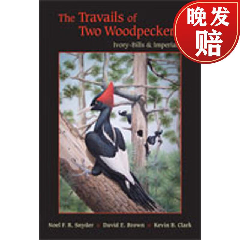 【4周达】the travails of two woodpeckers: ivory-bills & imperial