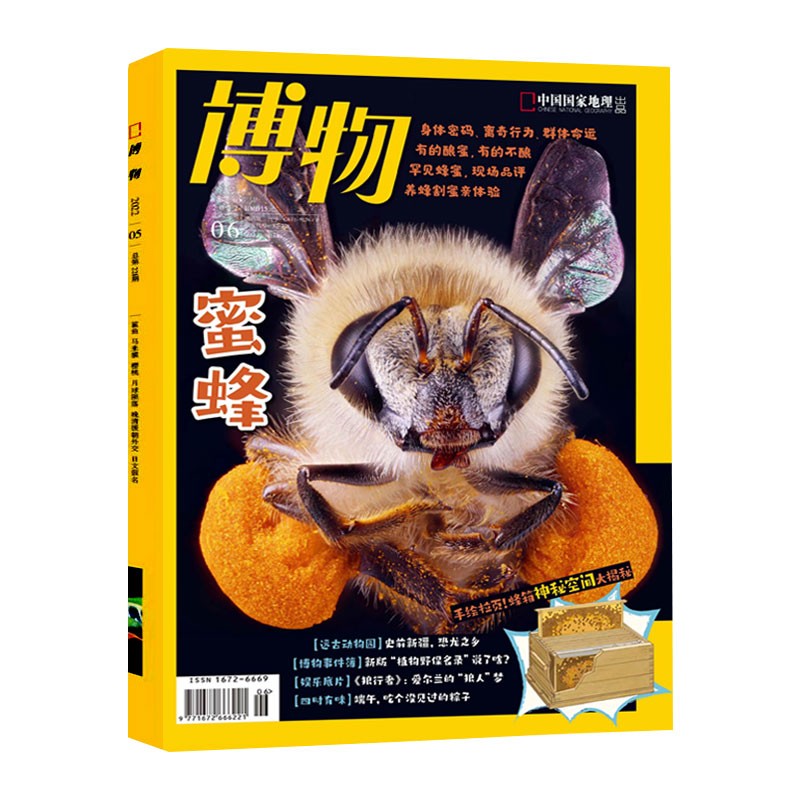 【单本】博物杂志 2022年1/2/3/4/5/6/7期 青春少年版科普百科 期刊杂志中国国家地理青少年版6-12岁中小学生课外阅读科普百科全书博物君 2022年6期【蜜蜂专题】属于什么档次？