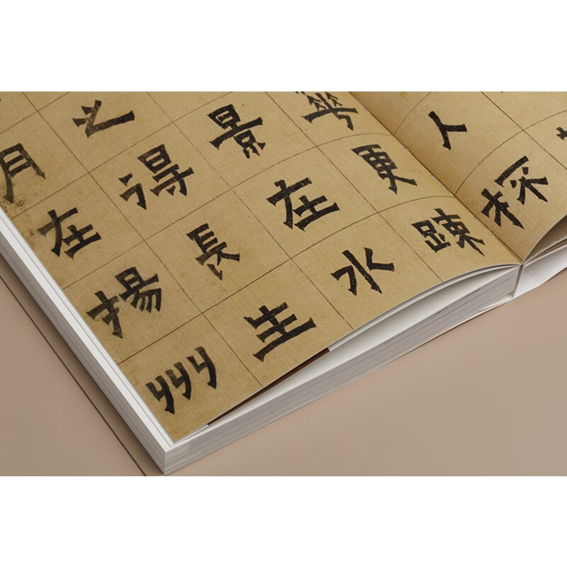 孤山仰止:西泠印社藏金石书画精品选