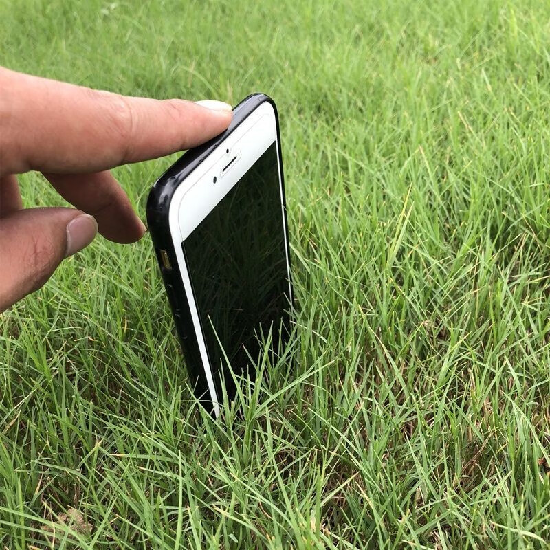 萌蕴(mengyun)进口草坪种子混播四季青草籽四季种狗牙根早熟禾黑麦草