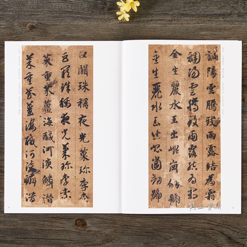 正版 智永真草千字文 中华书局 16开草书楷书毛笔书法字帖 中华碑帖