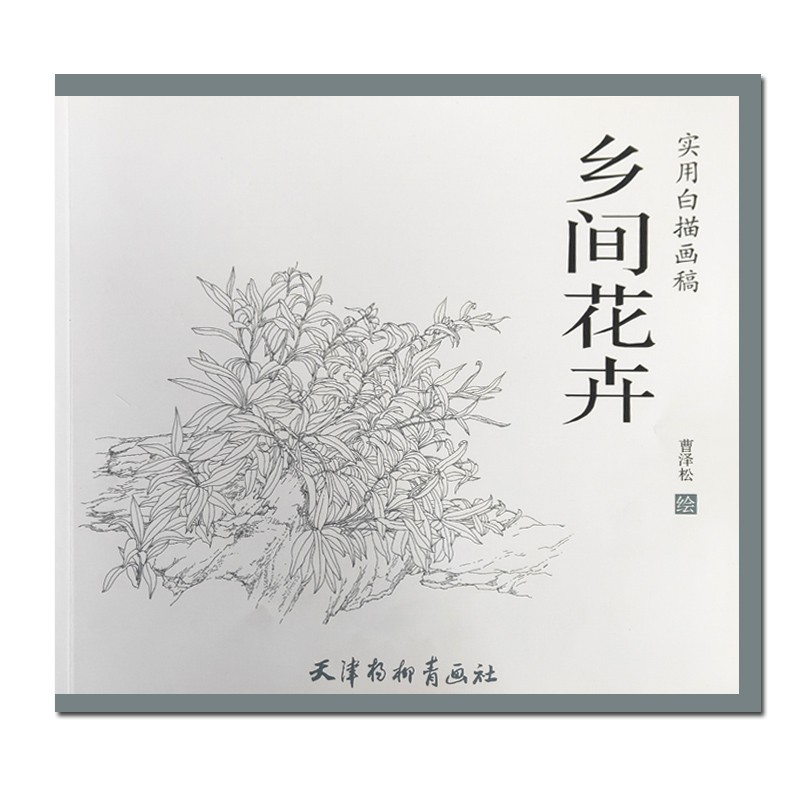 乡间花卉实用白描画稿 曹泽松绘 中国画工笔花鸟花卉画 白描花卉临摹