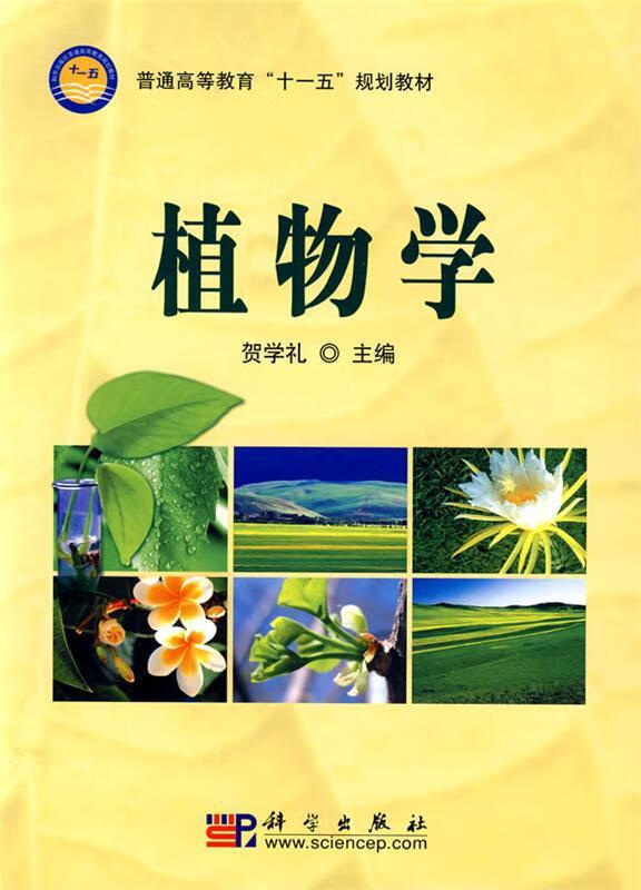 植物学 贺学礼 编【正版图书,放心购买】