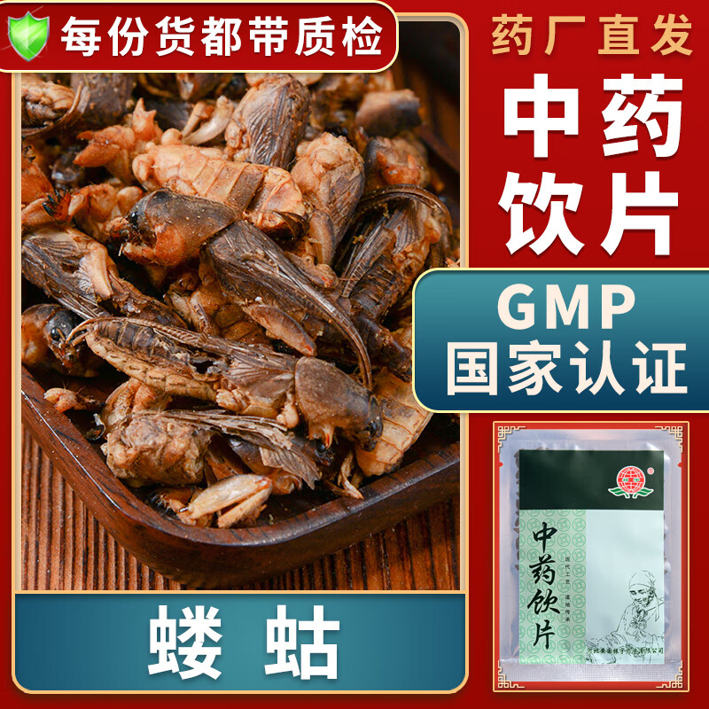 中药材大药房中药店抓药中草药店蝼蛄食用蛞蝼别名拉蛄地牯牛天蝼蝼蝈