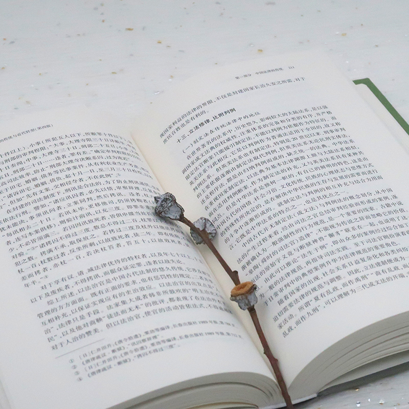 天下·法学新经典中国法律的传统与近代转型（第四版）