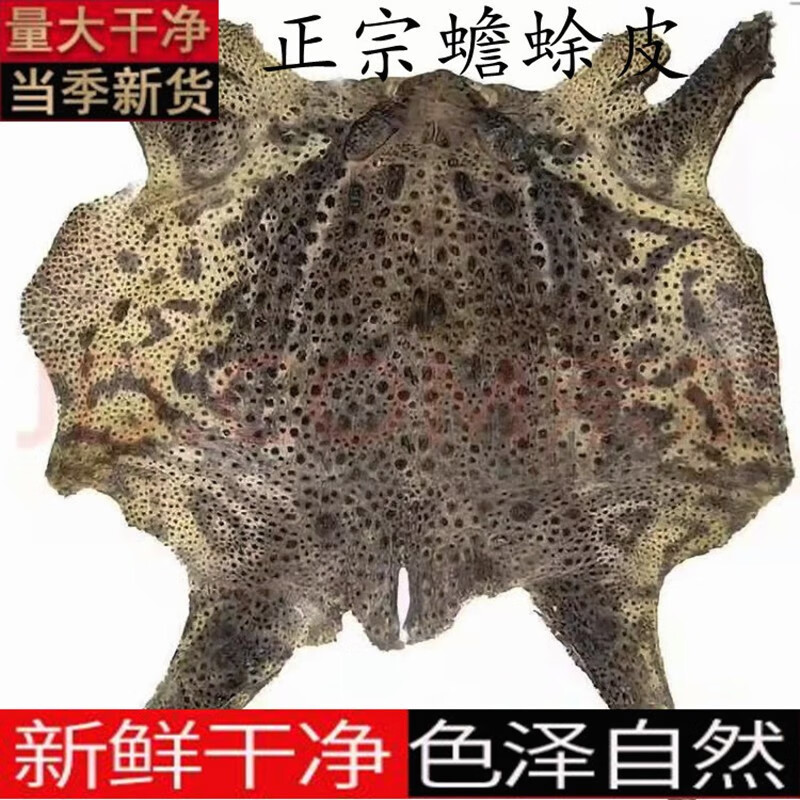 北京同仁堂蟾蜍外皮特大整张癞蛤蟆皮干蟾蜍 癞赖蛤蟆皮 蟾蜍衣干货
