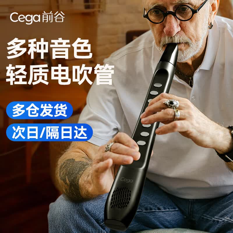 前谷电吹管学生初学者电子竖笛乐器萨克斯老年人礼物 黑色-标配属于什么档次？