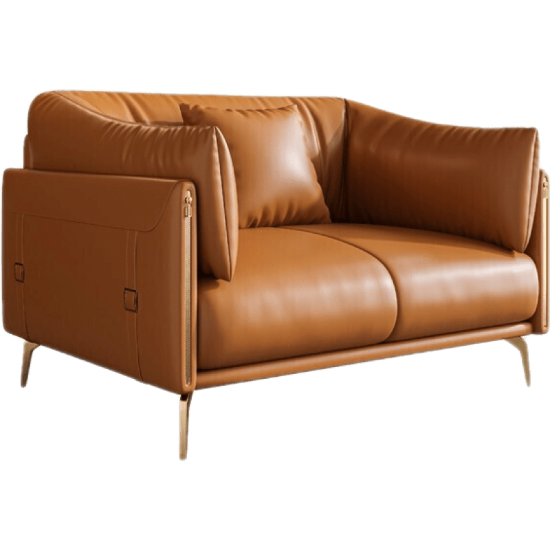 初岛 沙发 意式真皮沙发客厅现代轻奢真皮沙发头层牛皮欧式沙发家具组合别墅真皮沙发组合 单人位(国产牛皮+恒温海绵) 整装