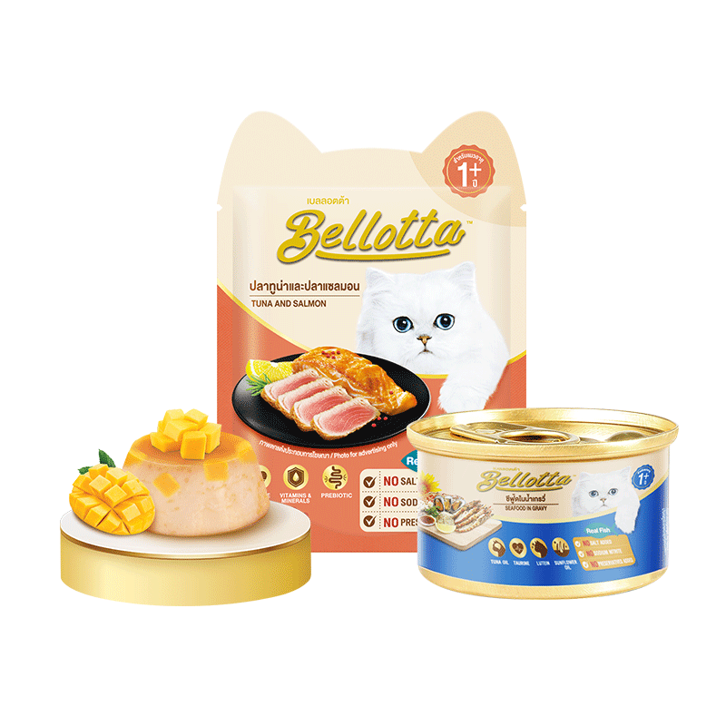 猫零食怎么查看宝贝历史价格|猫零食价格走势