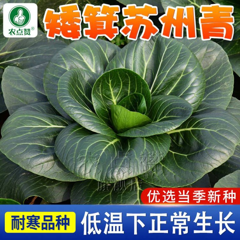 蔬菜类商品历史价格查询入口|蔬菜类价格比较