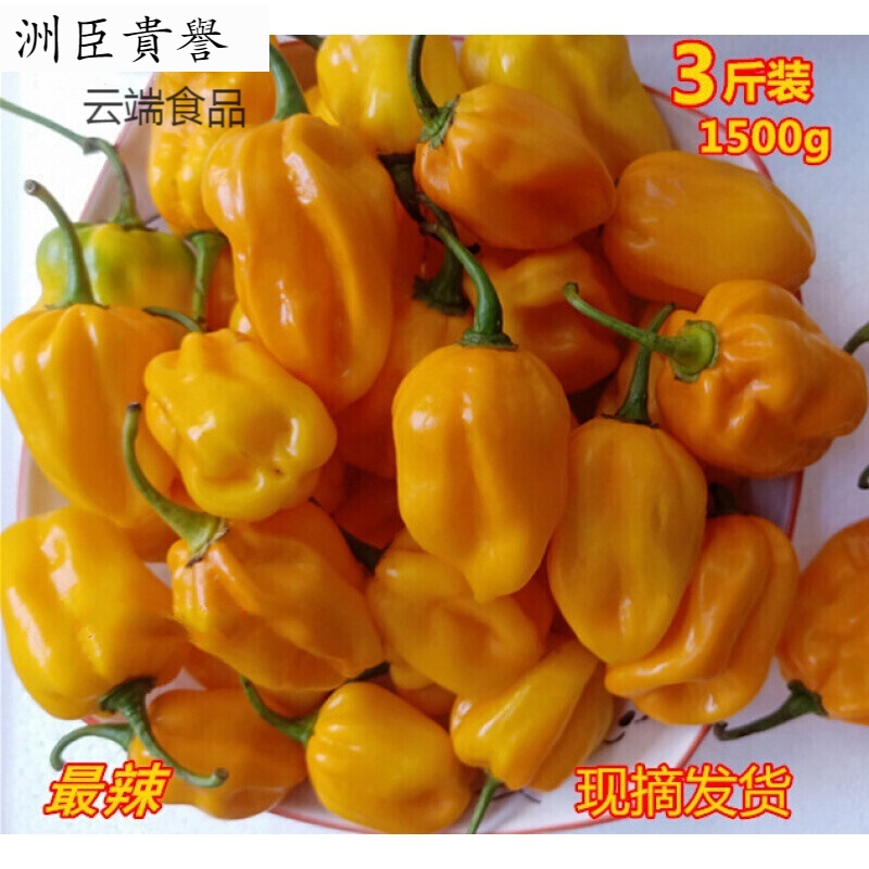 寒宁海南新鲜黄灯笼辣椒  黄辣椒小黄椒辣1500g