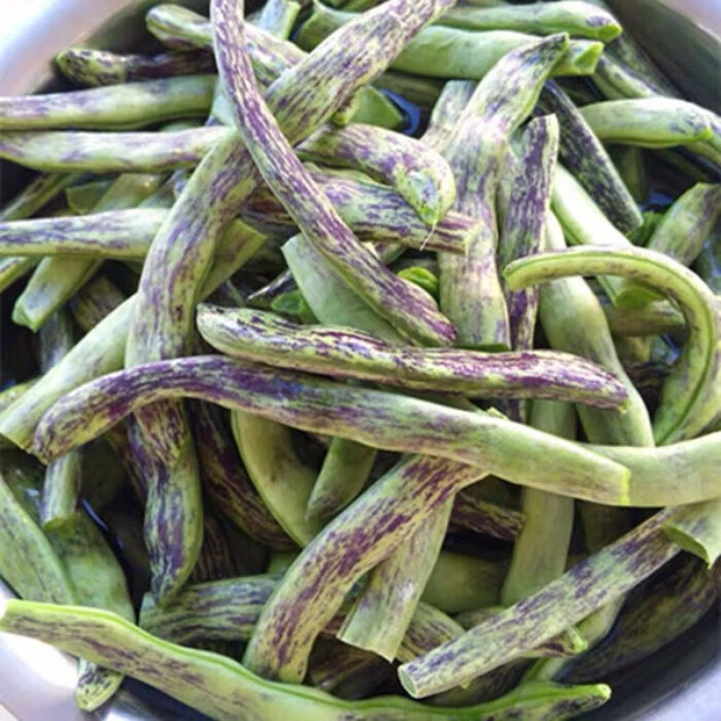 东北辽宁老品种紫纹豆角新鲜蔬菜花豆角花皮芸豆应季特产 顺丰陆运 二