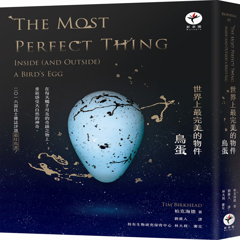 台版 世界上最完美的物件：鳥蛋