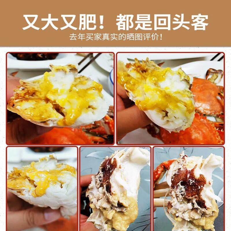 莱州湾梭子蟹鲜活新鲜特大海蟹 飞蟹 白蟹 海鲜螃蟹中秋礼盒福利 梭子蟹鲜活 每只1斤以上 10只装