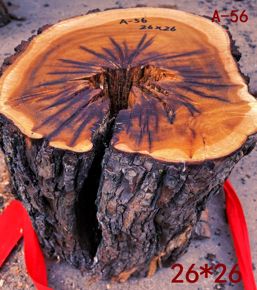 真正自然雷击木原木砍伐切割千年枣树道家法器雷击枣木雷击桃木 a-56